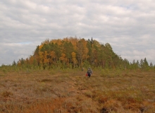bog shoeing in estonia bog island bog shoeing in estonia bog island