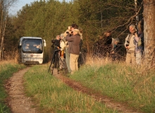 Nature watching at sunset Nature watching at sunset