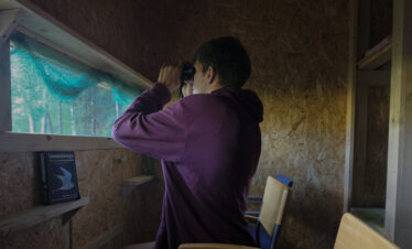 watching from the hide